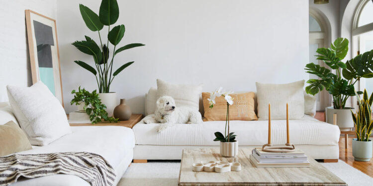 large rug for bedroom