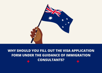 Why should you fill out the visa application form under the guidance of immigration consultants?