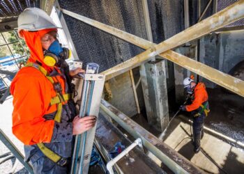 Why You Hire Professionals For Cleaning Services In Melbourne City