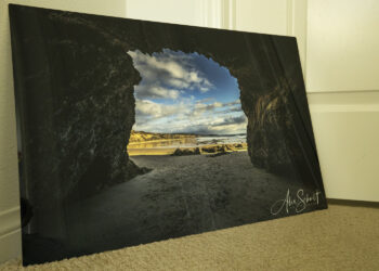 Costco Metal Print Review