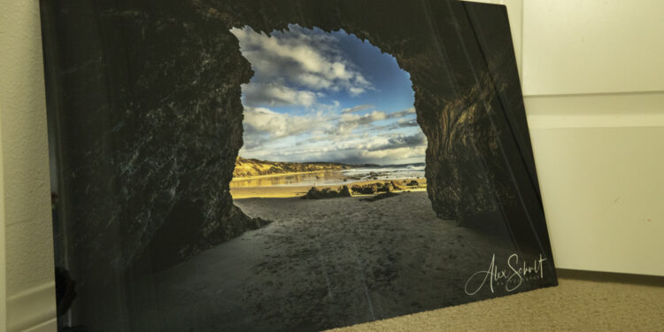 Costco Metal Print Review