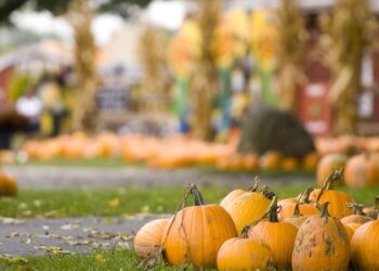 Fall Festivals That Will Make Heads Turn
