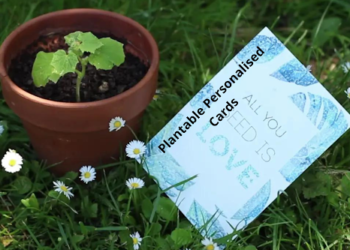 Plantable Personalised Cards