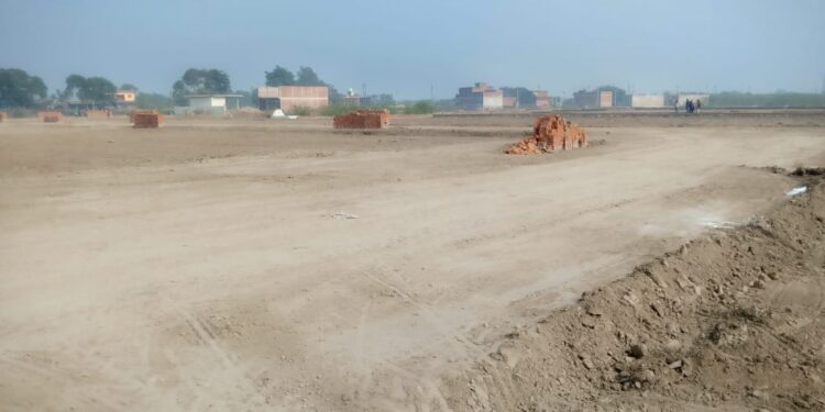 Land or Plot