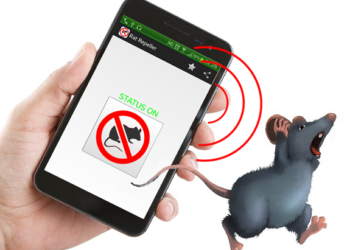 How to drive away rats at home?