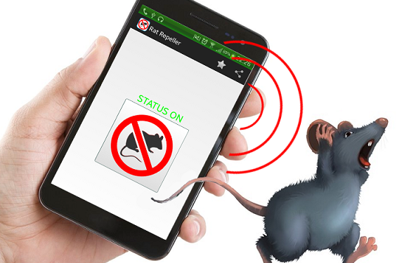 How to drive away rats at home?