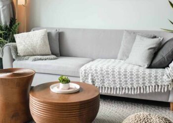 What Soap to Use for Cleaning a Light Coloured Lounge?