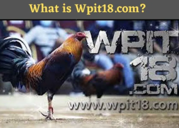 Wpit18