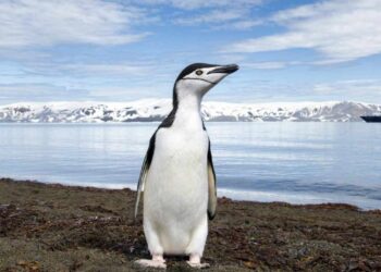 biggest desert in the world