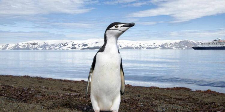 biggest desert in the world