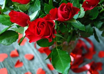 roses are red violets are blue