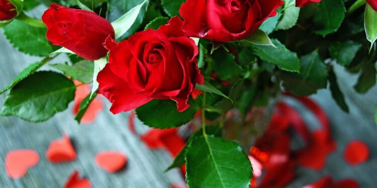 roses are red violets are blue