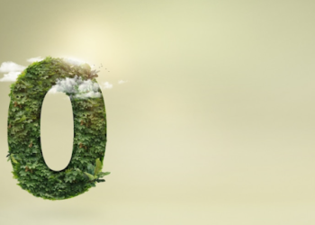 Calculate The Carbon Footprint