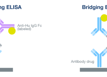 ELISA Method During Drug Development