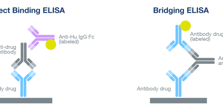 ELISA Method During Drug Development