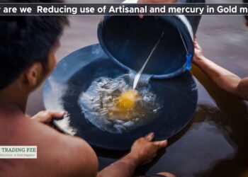  How are we reducing the of use artisanal and mercury in gold mining – Max Warren Barber