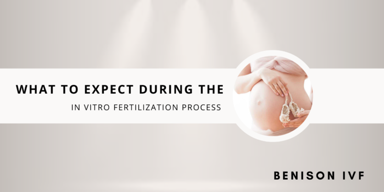 IVF Centre in Delhi NCR