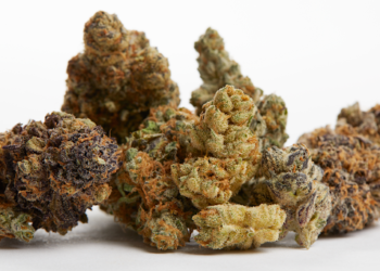 Cannabis Flower | How To Take, CBD Vs. THC, Medical Uses