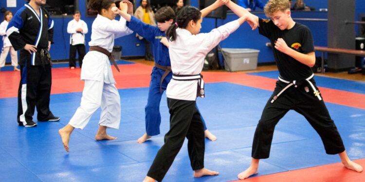Taekwondo – The Art of Kicking and Punching