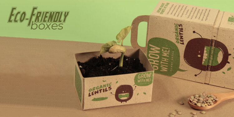 Eco Friendly Packaging