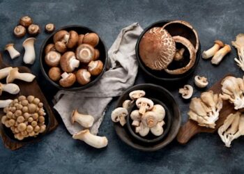Amazing Health Benefits Of Mushrooms