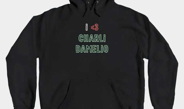 i-love-charli-damelio-tik-tok-star-Hoodie